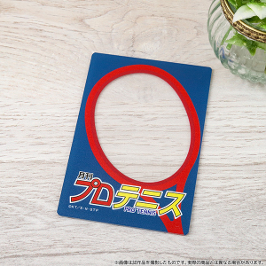 VejX̉ql@dJ[hP[X^vejX