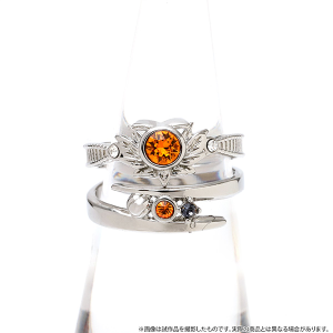 VejX̉ql@o[Xf[O@Ks@13y󒍐Yiz