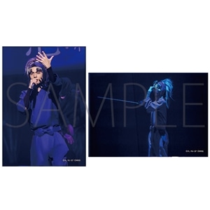 劇中写真ブロマイド 竹谷八左ヱ門 ミュージカル「忍たま乱太郎」 五年生単独ライブ