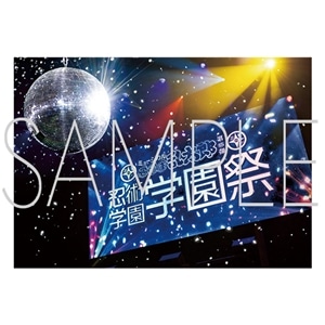 �y�����w�����T�t���z�~���[�W�J���u�E���ܗ����Y�v�@��15�e �E�p�w�� �w���� �t�H�g�u�b�N