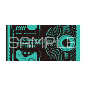 魔法少女リリカルなのは ビッグタオル アインハルト リリカルサバイバーVer.