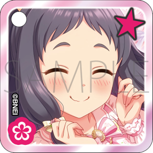 �J�X�^���A�N�����L�[�z���_�[�@�������݁@THE IDOLM@STER CINDERELLA GIRLS STARLIGHT STAGE WITH �`�L�~�ƕ��񂾋P���̋O�Ձ`�@����ʔ�