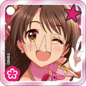 �J�X�^���A�N�����L�[�z���_�[�@�����K���@THE IDOLM@STER CINDERELLA GIRLS STARLIGHT STAGE WITH �`�L�~�ƕ��񂾋P���̋O�Ձ`�@����ʔ�