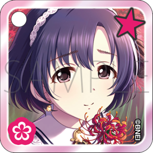 �J�X�^���A�N�����L�[�z���_�[�@���e�ق���@THE IDOLM@STER CINDERELLA GIRLS STARLIGHT STAGE WITH �`�L�~�ƕ��񂾋P���̋O�Ձ`�@����ʔ�