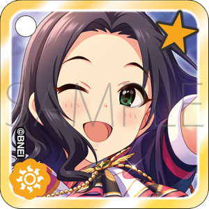 �J�X�^���A�N�����L�[�z���_�[�@���n�Ĕ��@THE IDOLM@STER CINDERELLA GIRLS STARLIGHT STAGE WITH �`�L�~�ƕ��񂾋P���̋O�Ձ`�@����ʔ�