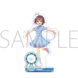 姫川友紀フィギュアほかグッズセット 994156196m.jpg
