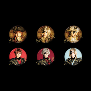 cVCjO from ́vX܂wPirates of the Frontierx@X^htg[fBOʃobW