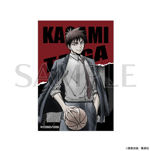 �X�e�b�J�[�@�ΐ_���@���q�̃o�X�P����W�@����ʔ�