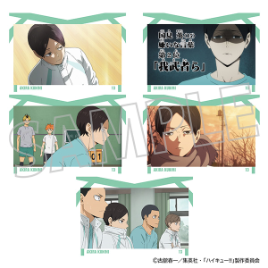 ハイキュー アニメ原画展ファイナルセット 限定 ポストカード 日向翔陽 セット ハイキュー!! ポストカードセット／日向翔陽: キャラグッズ