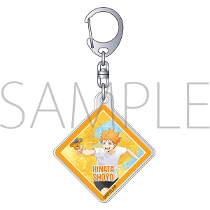 �n�C�L���[!!�@�A�N�����L�[�z���_�[�^����