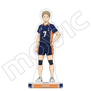 商品検索ハイキュー(発売日＋商品名 27ページ)｜ムービック（movic）