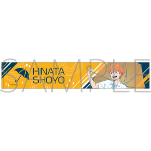 �n�C�L���[!!�@�}�t���[�^�I���^�����ėz �J�オ��̋A�蓹