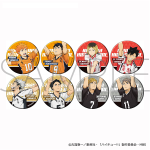 ハイキュー!! TO THE TOP スリムポスターコレクション: キャラ