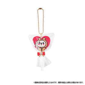 ���������đ�D��������B�@ �L�����f�B�L�[�z���_�[�@�ɂ��