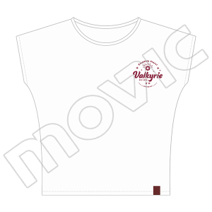 TVAjw񂳂ԂX^[YIx@TVc@Valkyrie