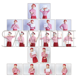 �r�܌�����@Rose Chocolat �g���[�f�B���O�u���}�C�h