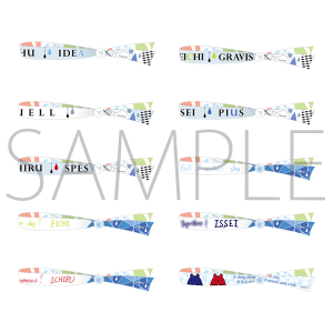 y󒍐YzS.Q.P Ver.QUELL@bZ[W{ohRNViS10j