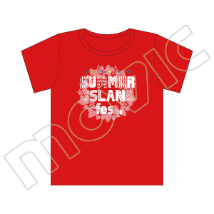レア！ BUSHIDO ANIMUS CCN IV 限定版 Tシャツ付き 7/23 12:00 Release】WILDSIDE × 龍が如くスタジオ All-over