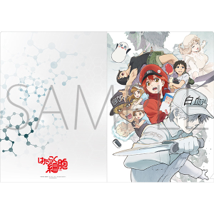 はたらく細胞!! クリアファイル