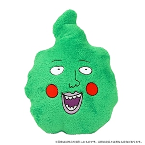 uTCR100 U@GN{̂ʂ݃NbV