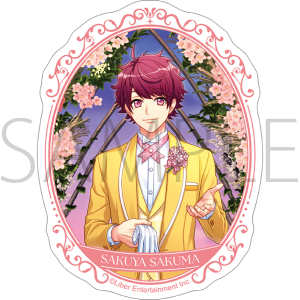 A3!�@�X�e�b�J�[�^���v�ԍ�� �W���[���u���C�h