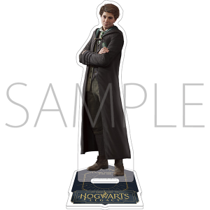 ハリーポッター クリアファイル Harry Potter: キャラグッズ