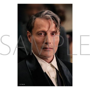 ブランケット Gellert Grindelward ファンタスティックビースト