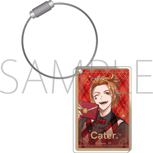 Disney - 新品 未開封 ツイステ　アクリルチャーム　フロイド　リーチ 楽天市場】ツイステ アクリルチャーム フロイドの通販