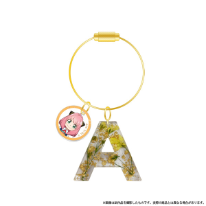 TVAjuSPY×FAMILYv@ANL[`[@A[jEtH[W[