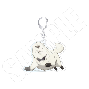 TVAjuSPY×FAMILYv@L[rWA@ANL[z_[@{h