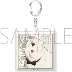 TVAjuSPY×FAMILYv@ANL[z_[^{hEtH[W[@Season 3LN^[rWA