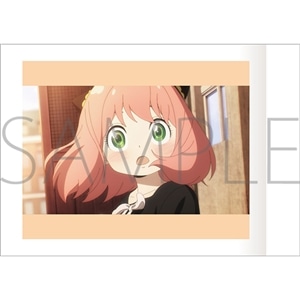 TVアニメ「SPY×FAMILY」 ぱしゃこれ