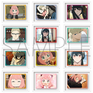 TVAjuSPY×FAMILYv@R}R@}Olbg