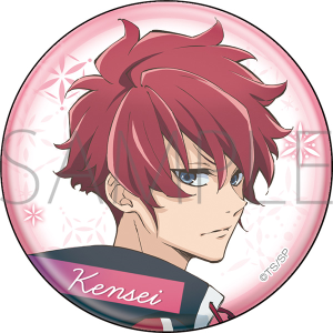 �X�P�[�g���[�f�B���O���X�^�[�Y�@�ʃo�b�W�@�O��