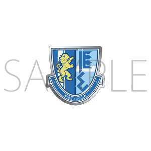 �X�P�[�g���[�f�B���O���X�^�[�Y�@�G���u�����s���o�b�W�@���N�����B�X�w�@�����w�Z