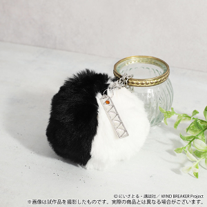 yė\񕪁zWIND BREAKER@obO`[