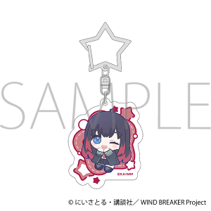 WIND BREAKER@ANL[z_[^֖ C@ʂp 