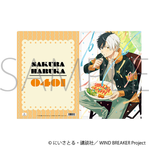 WIND BREAKER�@�N���A�t�@�C���^�� �y