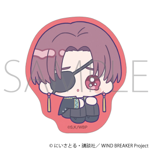 WIND BREAKER�@�X�e�b�J�[�^�h�c ����@�݂ɂ҂���