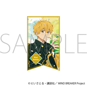 WIND BREAKER�@�z���X�e�b�J�[�^���� �H�F