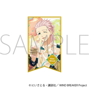 WIND BREAKER�@�z���X�e�b�J�[�^�ː� �O�P