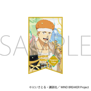 WIND BREAKER�@�z���X�e�b�J�[�^�щY ���