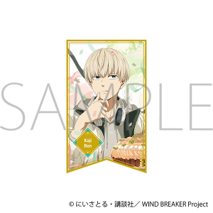 WIND BREAKER�@�z���X�e�b�J�[�^�� �@