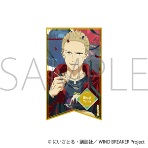 WIND BREAKER�@�z���X�e�b�J�[�^�A �o�n