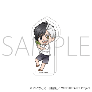 WIND BREAKER@Ɓ^ y