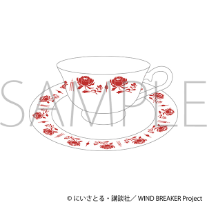 WIND BREAKER@hc̃Jbv\[T[