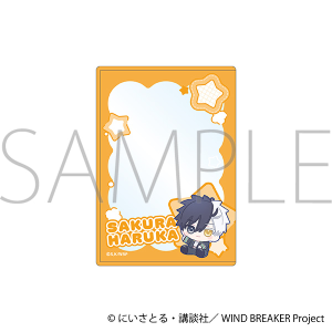 WIND BREAKER@dJ[hP[X^ y@ʂp 