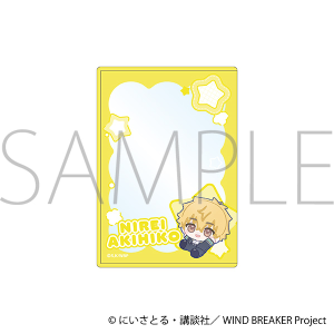 WIND BREAKER@dJ[hP[X^ HF@ʂp 