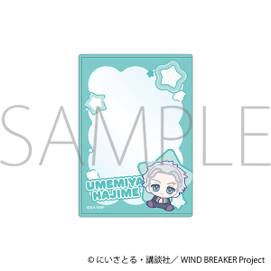 WIND BREAKER@dJ[hP[X^~{ @ʂp 