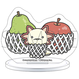 l̓E[p[[p[@ANX^h@t[cƉE[p[[p[